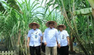 WhatsApp Image 2025-10-08 at 12.34.48