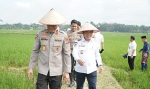 WhatsApp Image 2026-01-07 at 22.24.00