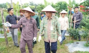 WhatsApp Image 2026-01-08 at 18.06.02