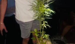 WhatsApp Image 2026-01-15 at 14.04.58 (2)