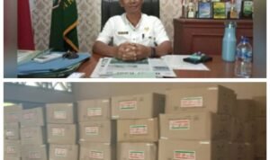 WhatsApp Image 2026-02-18 at 21.51.56