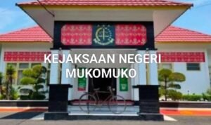 WhatsApp Image 2026-02-28 at 14.54.04