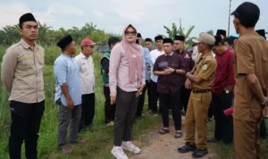 7311eb240b67a57b20706611cf361e167be3fbfc16beb2846734625ea8af3575.0