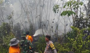 IMG-20260826-WA0066