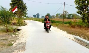 WhatsApp Image 2026-08-11 at 12.12.47 (1)